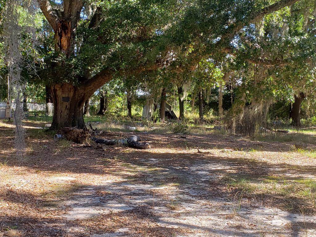 778 Done Roven Road - Photo 1