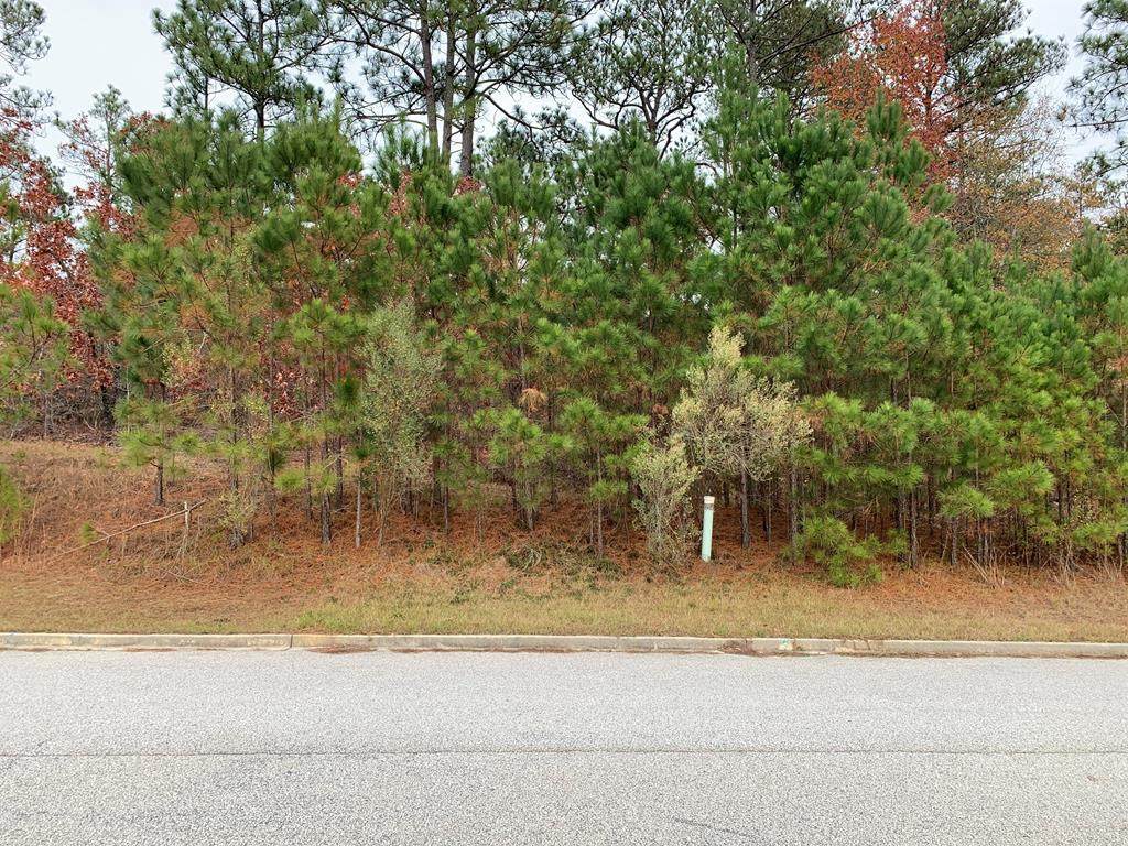 3951 Carolyn Street - Photo 1