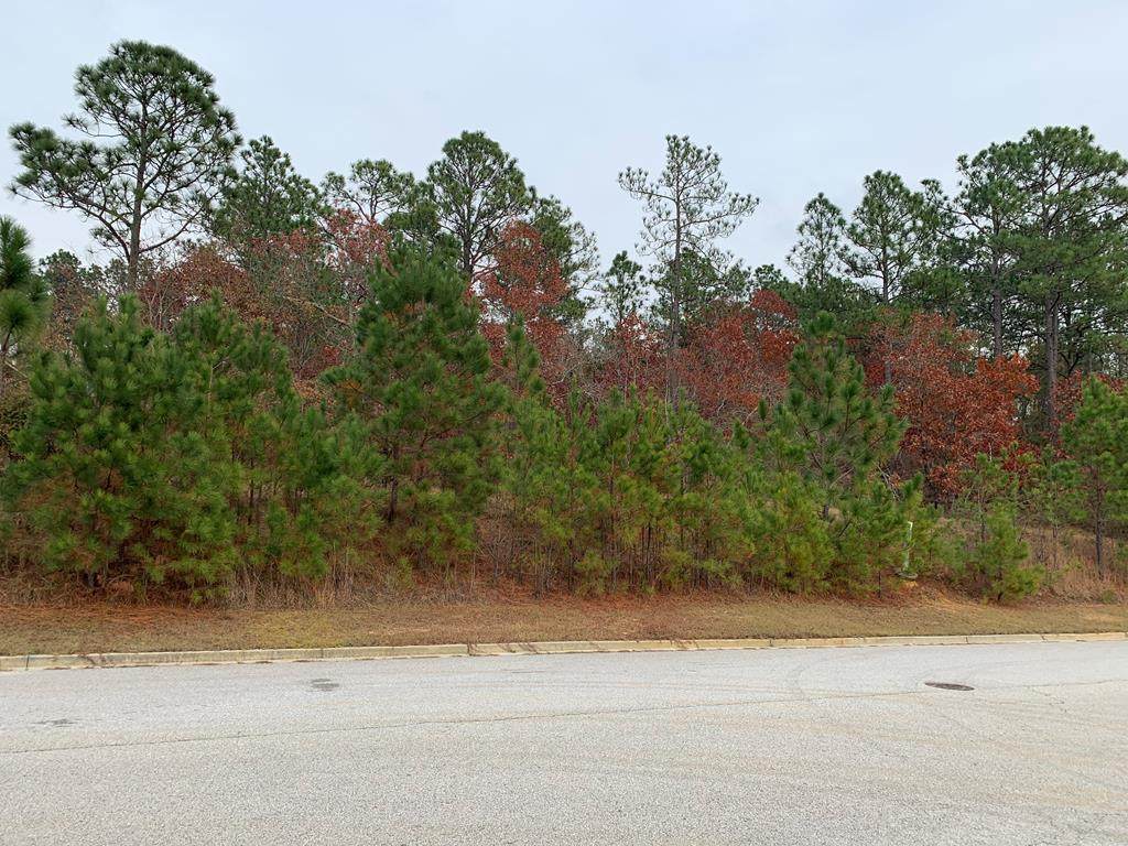 3953 Carolyn Street - Photo 1