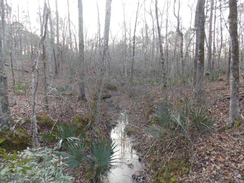 0 Highway 378 - Photo 1
