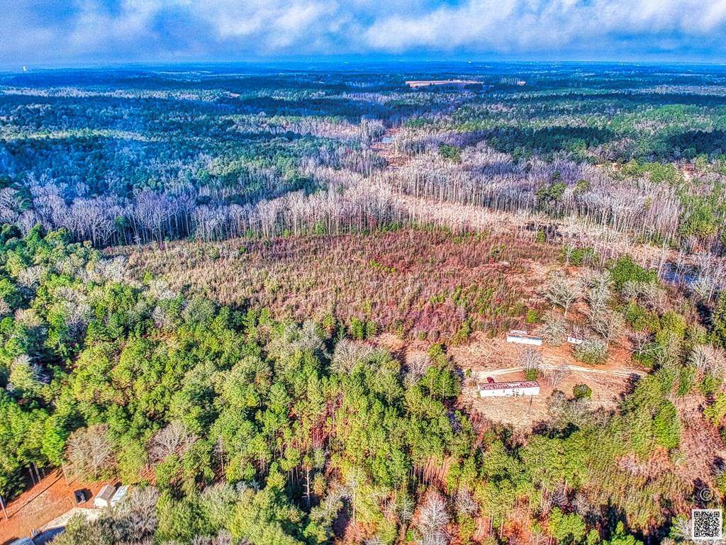 5007 Mike Padgett Highway - Photo 1
