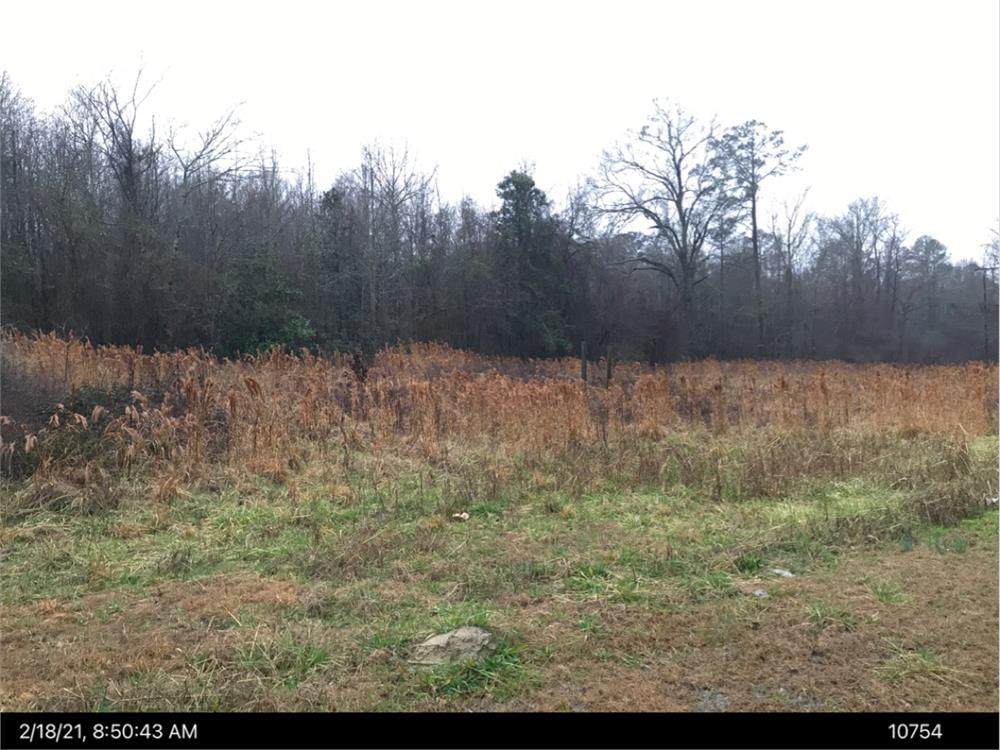 000 Harrison Road - Photo 1