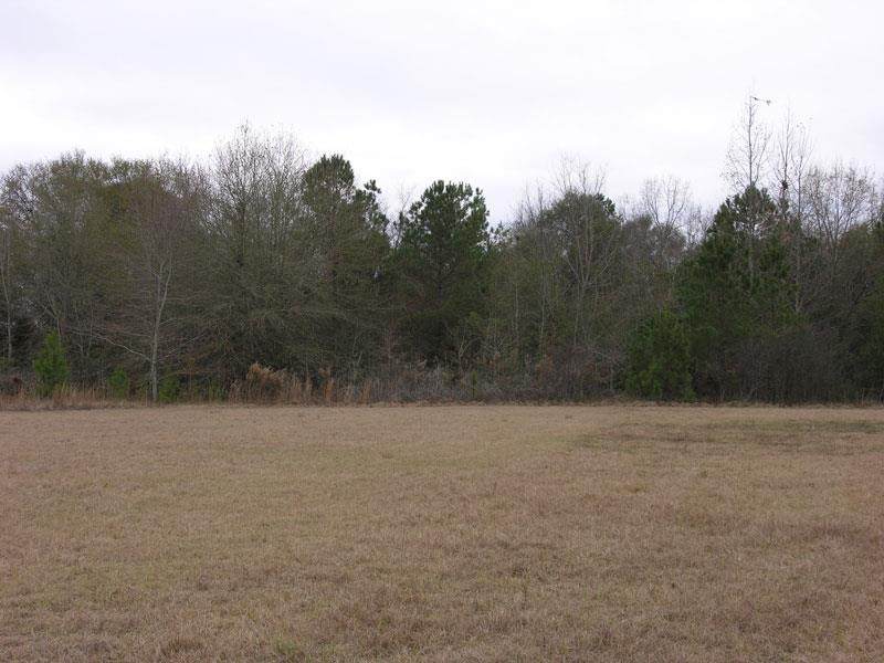 815 Griffin Landing Road - Photo 1