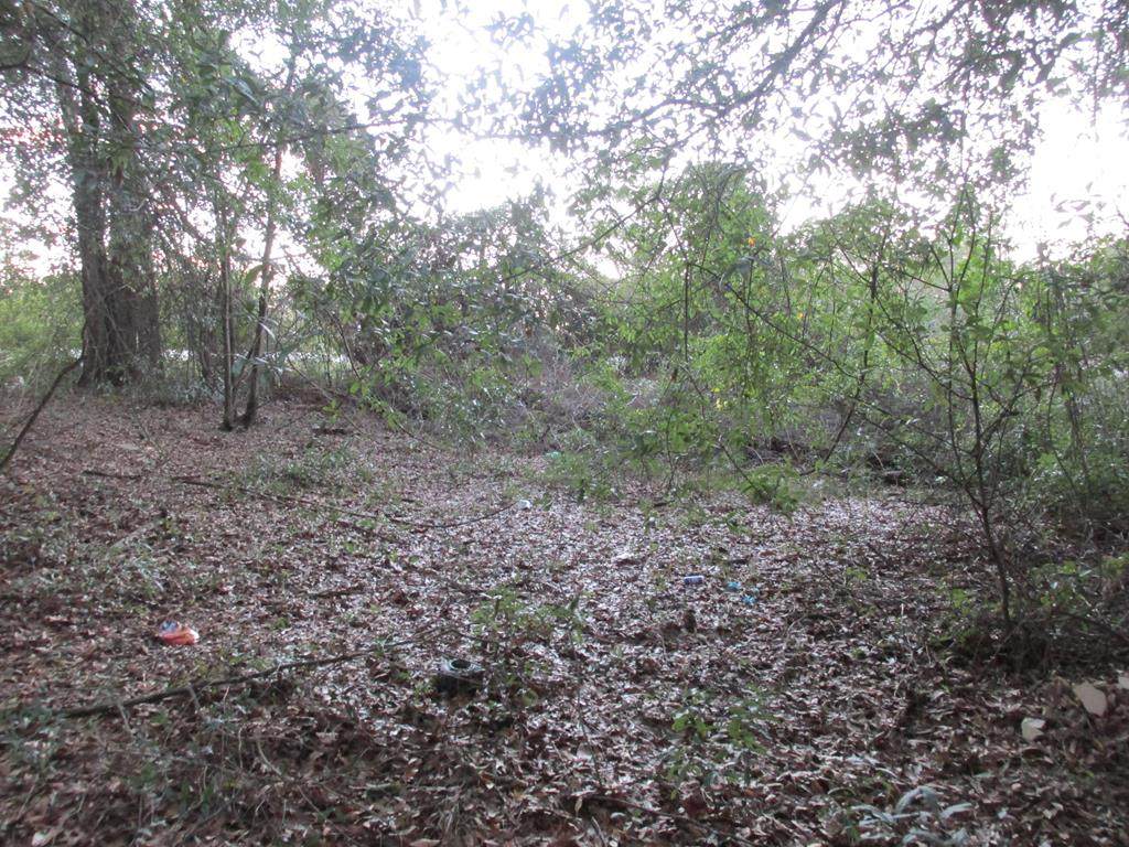4664 Mike Padgett Highway - Photo 1