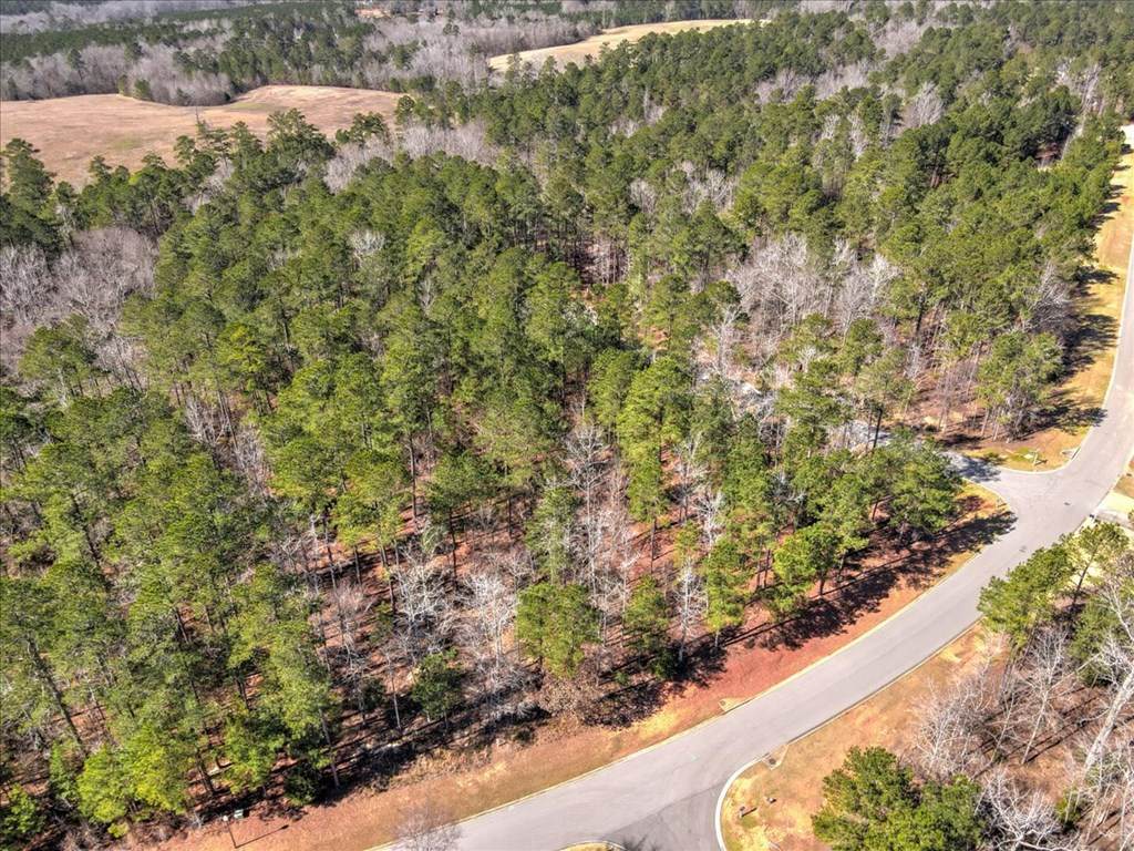 Lot O30 Schoolhouse Lane, North Augusta, SC 29860 (MLS 481231) Shannon Rollings Real Estate