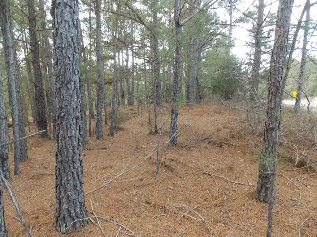 1 Highway 378 - Photo 1