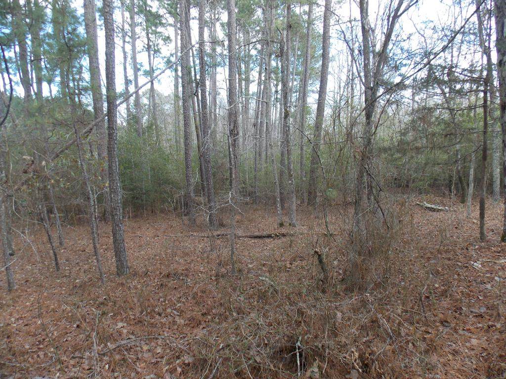 2 Highway 378 - Photo 1