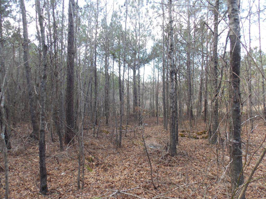 4 Fortson Road - Photo 1