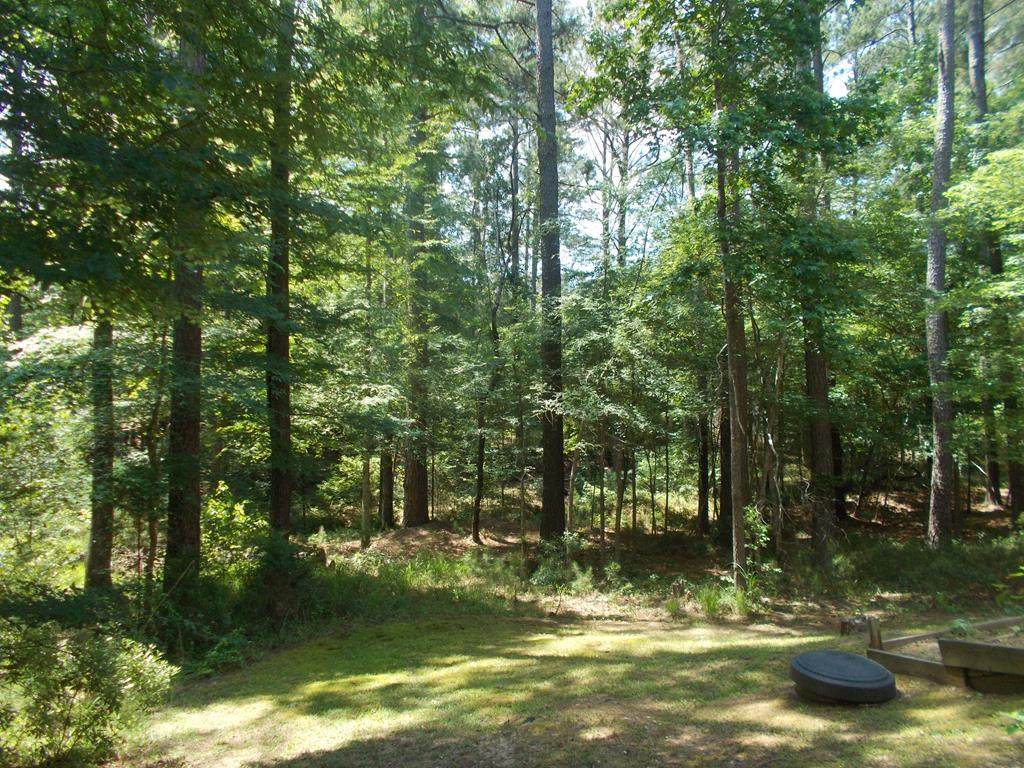 0 Bereau Drive - Photo 1