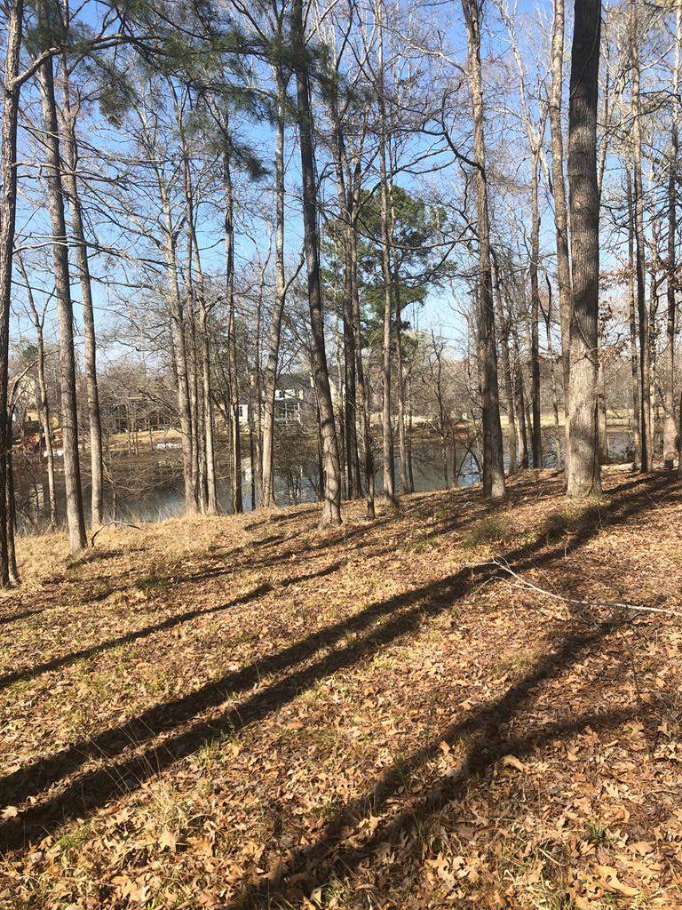 1592 River Island Parkway - Photo 1