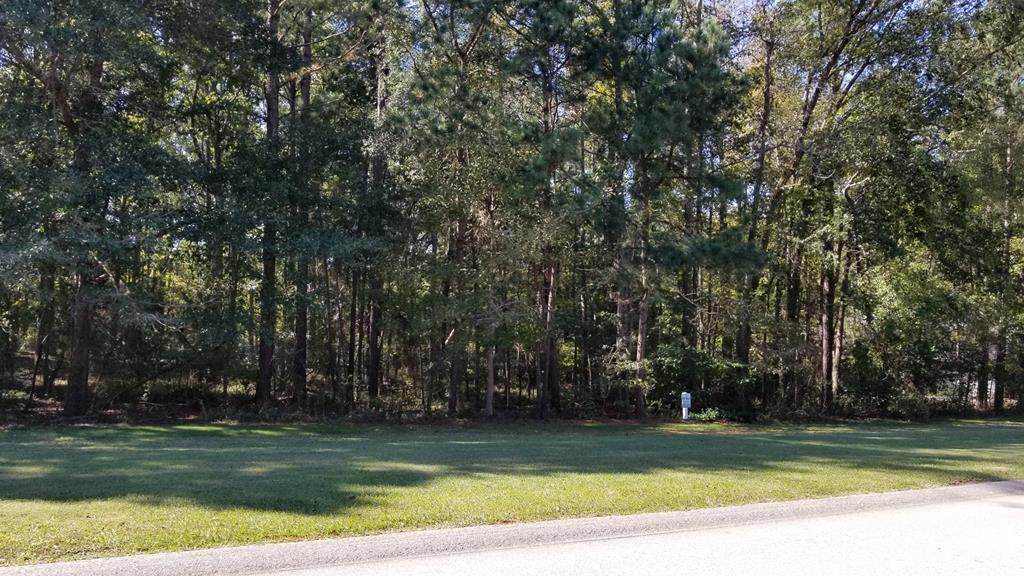 LotN-009 Captain Johnsons Drive - Photo 1