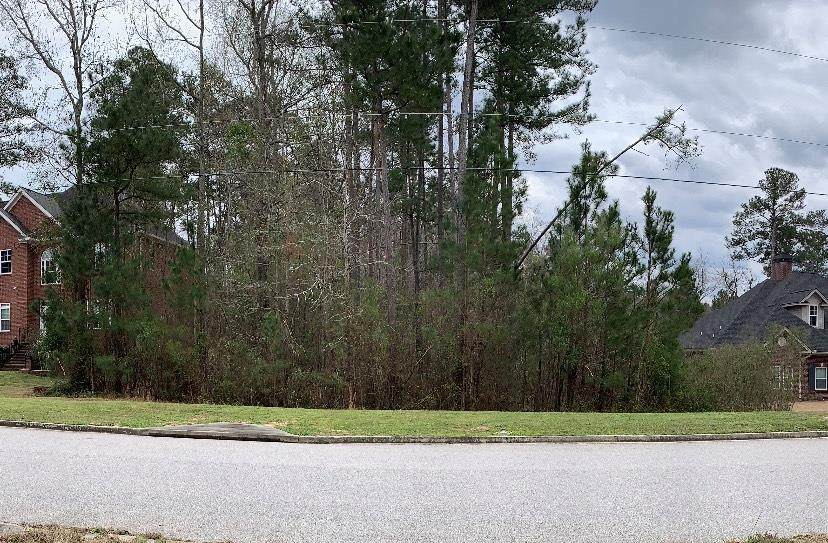 1706 Orange Avenue - Photo 1