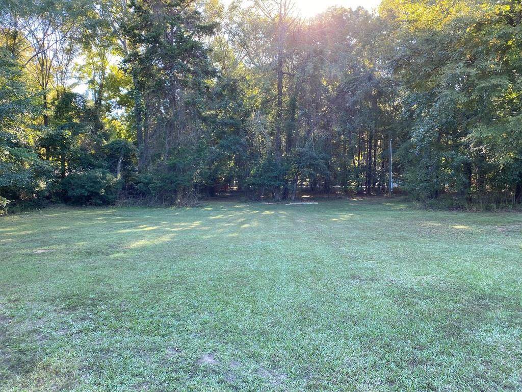 00 Rousseau Creek Road - Photo 1