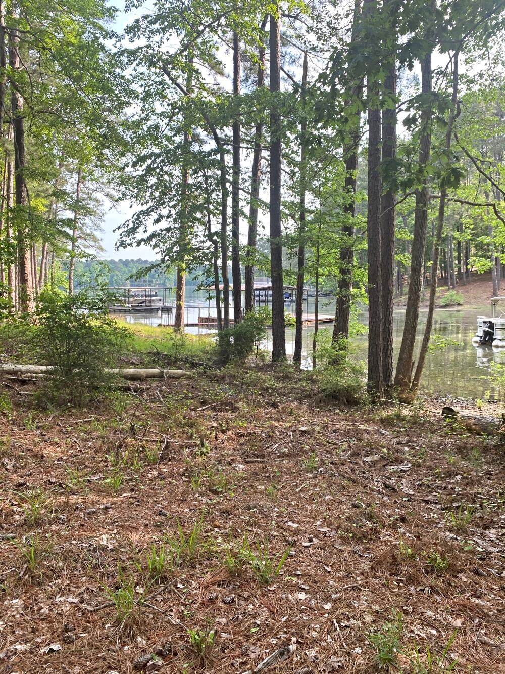0 Delaware Drive - Photo 1