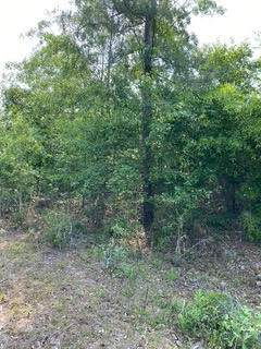 082B212 Ann's Way Way - Photo 1