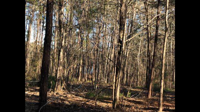 45 Wells Creek Drive - Photo 1