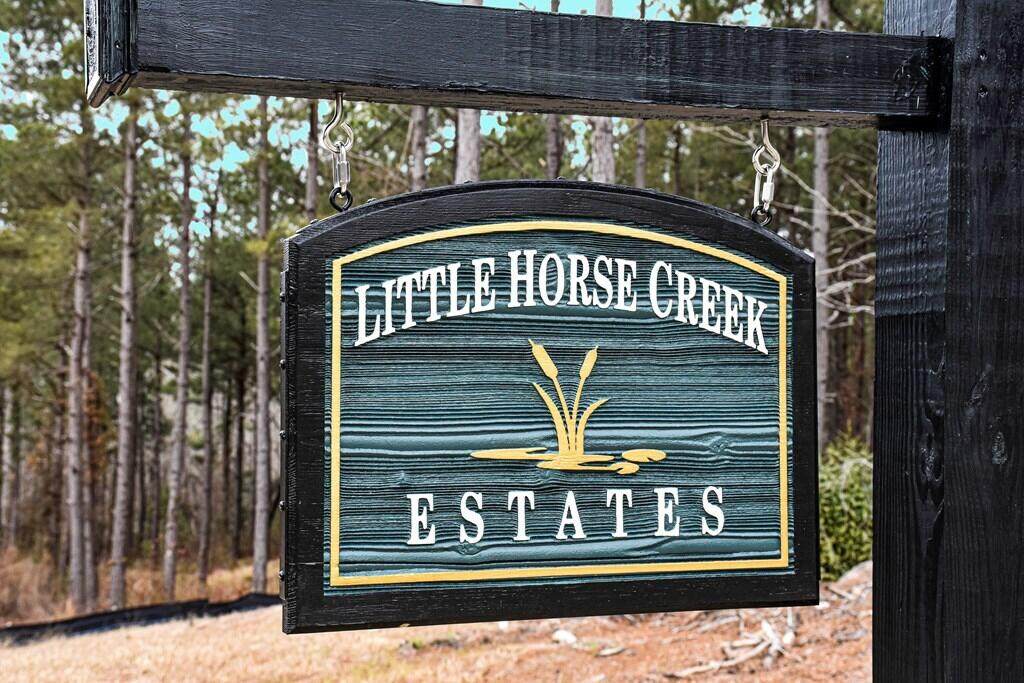 LOT 4 Little Horse Creek Drive - Photo 1