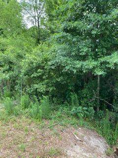 3905 Maddox Rd Road - Photo 1