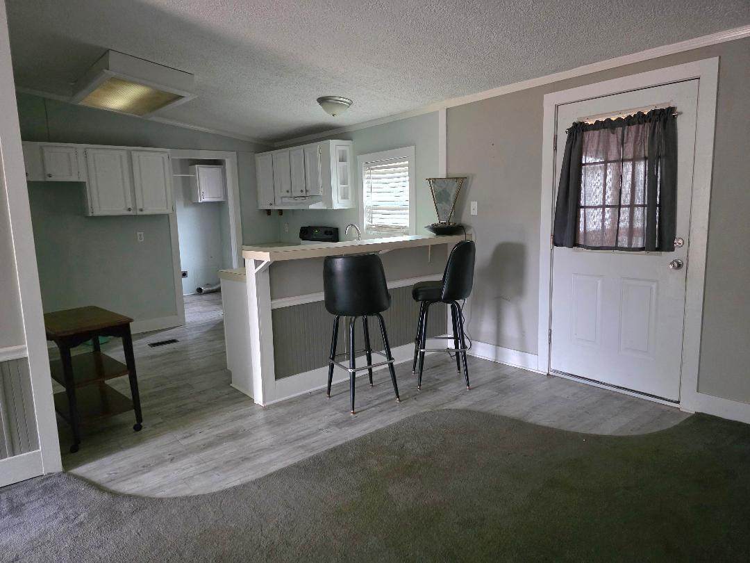 925 Hephzibah Mcbean Road - Photo 1