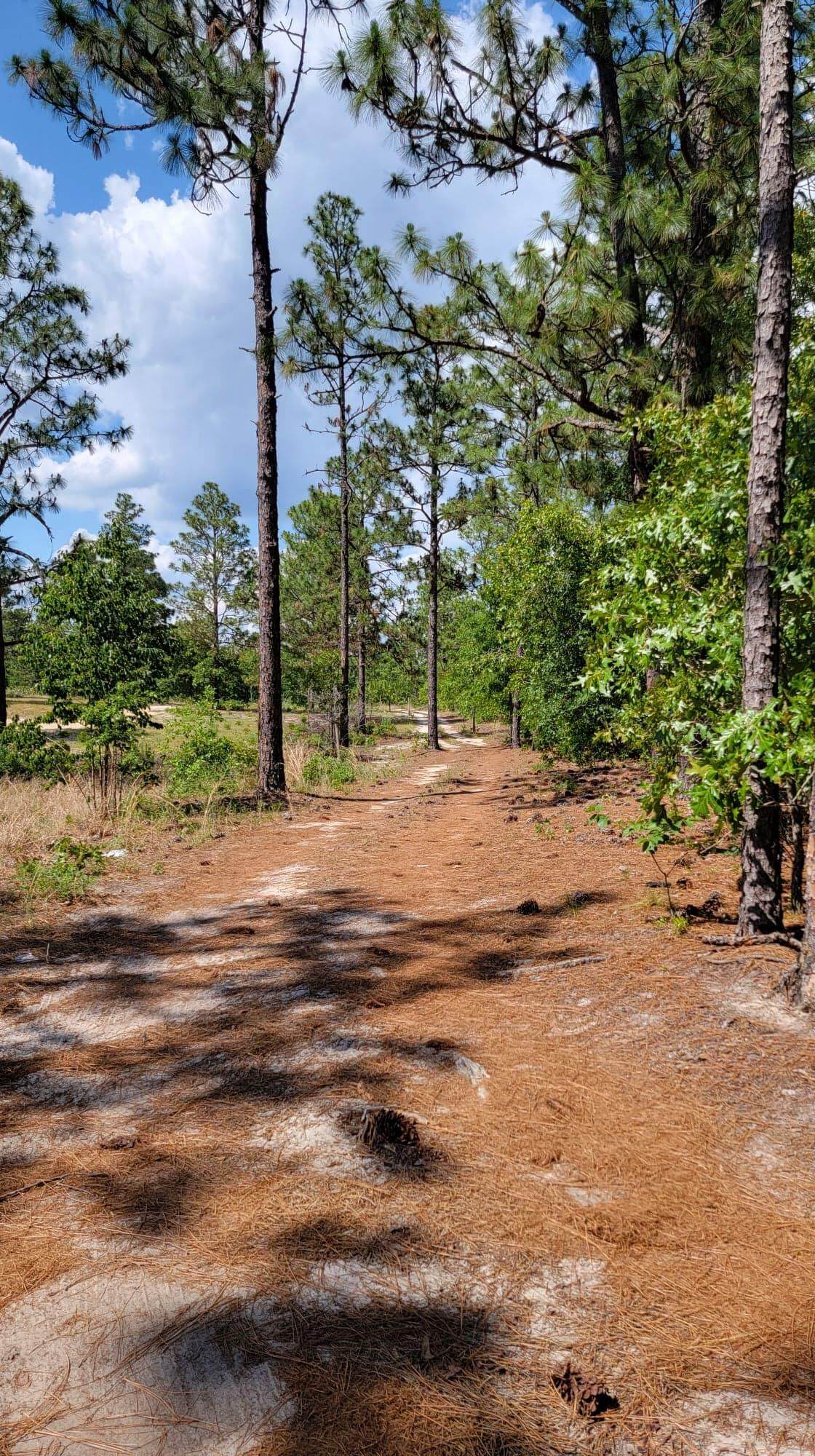 228 Long Cane Road Road - Photo 1