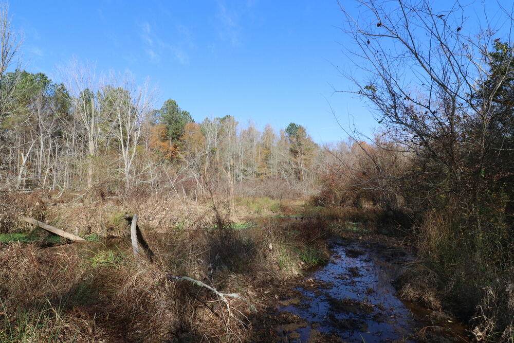 1241 Reynolds Farm Road - Photo 1