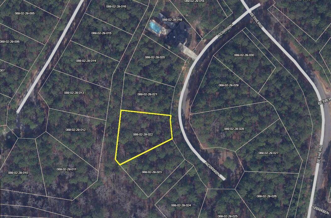 L22 B29 Acorn Ln - Photo 1