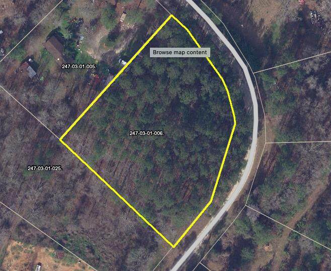 LOT 111 Goose Rd. - Photo 1