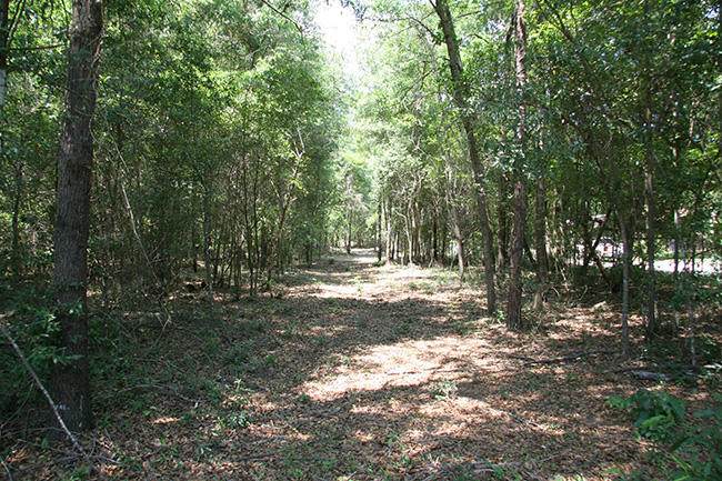1515F Hephzibah - Mcbean Road - Photo 1