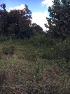 1516 C And S Drive - Photo 1