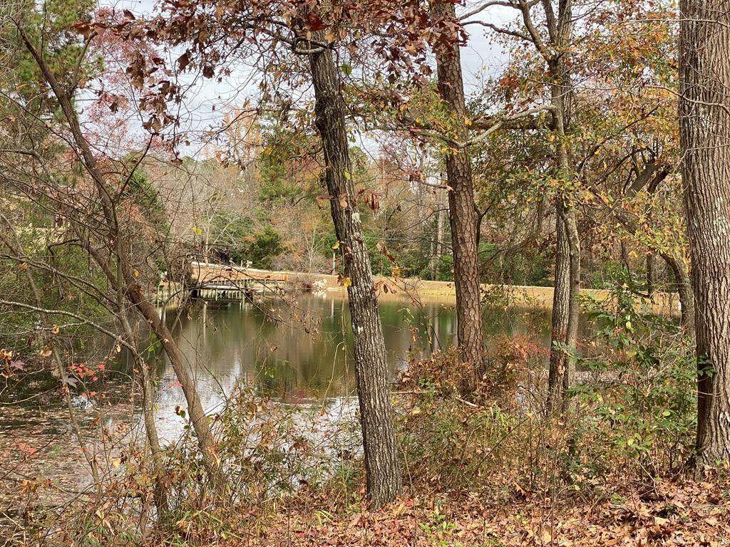 203 Belair Road - Photo 1