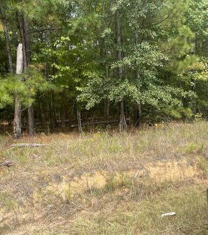 LOT 5 Comanche Circle - Photo 1