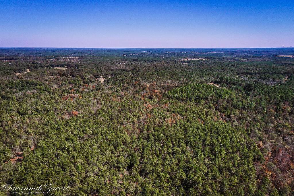 775 Wright Allen Road - Photo 1