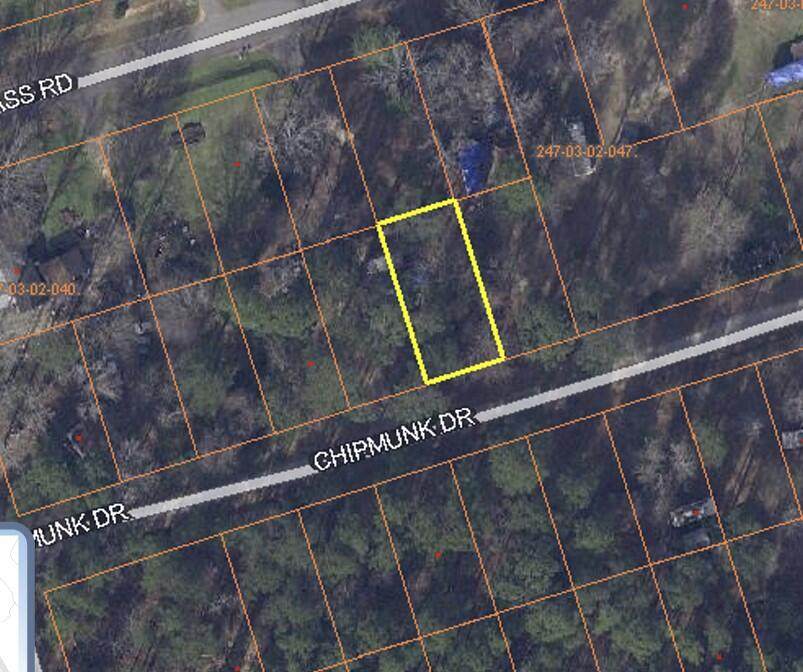 LOT 276 Chipmunk Drive - Photo 1