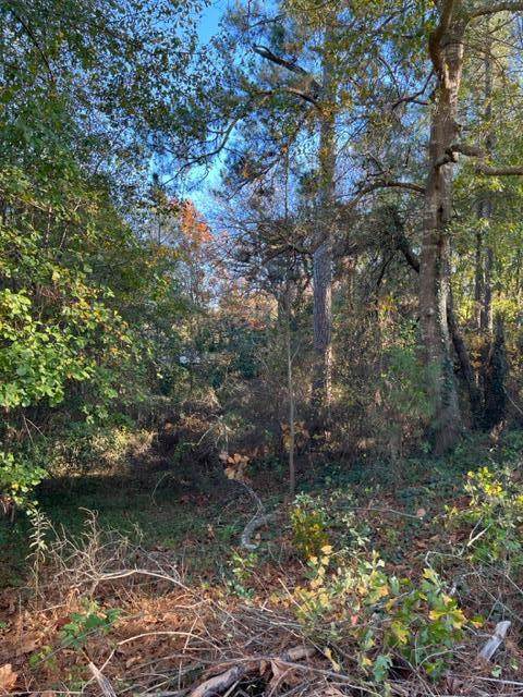 3512 Buckner Drive - Photo 1