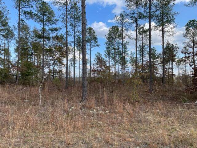 8135 Tennille Oconee Road - Photo 1