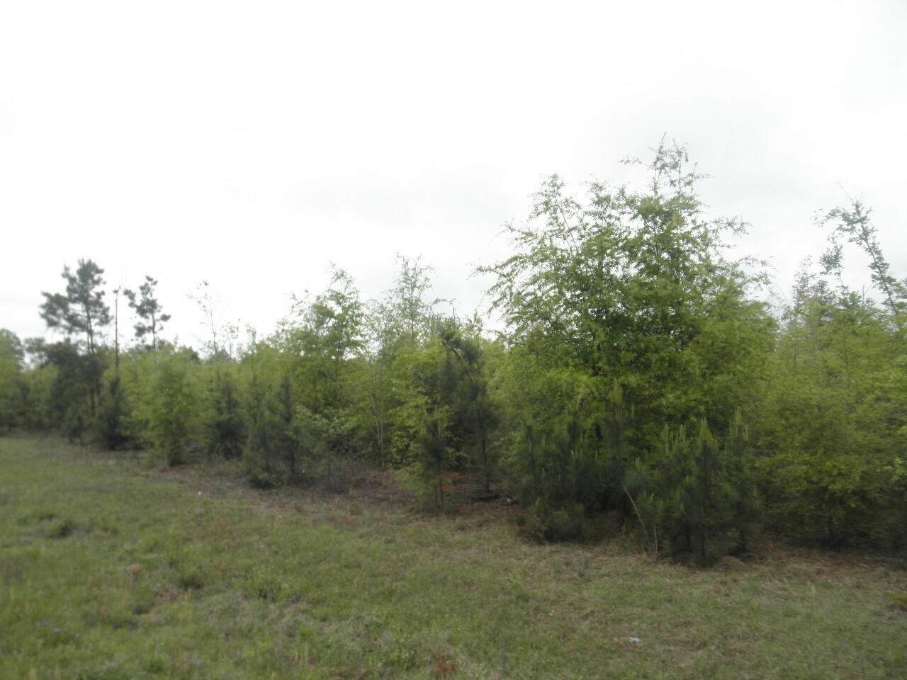 00 Highway 23 - Photo 1