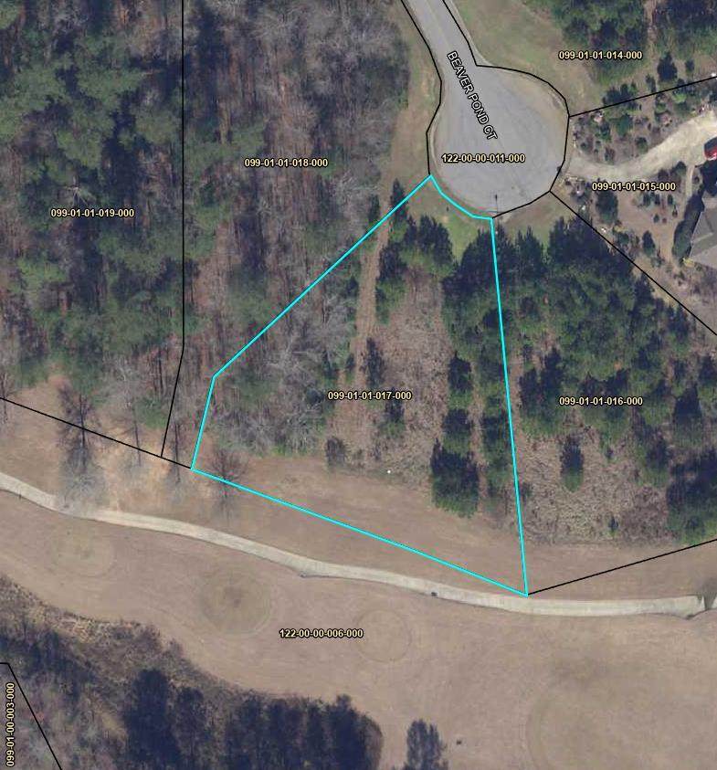 LOT L07 Beaver Pond Court - Photo 1