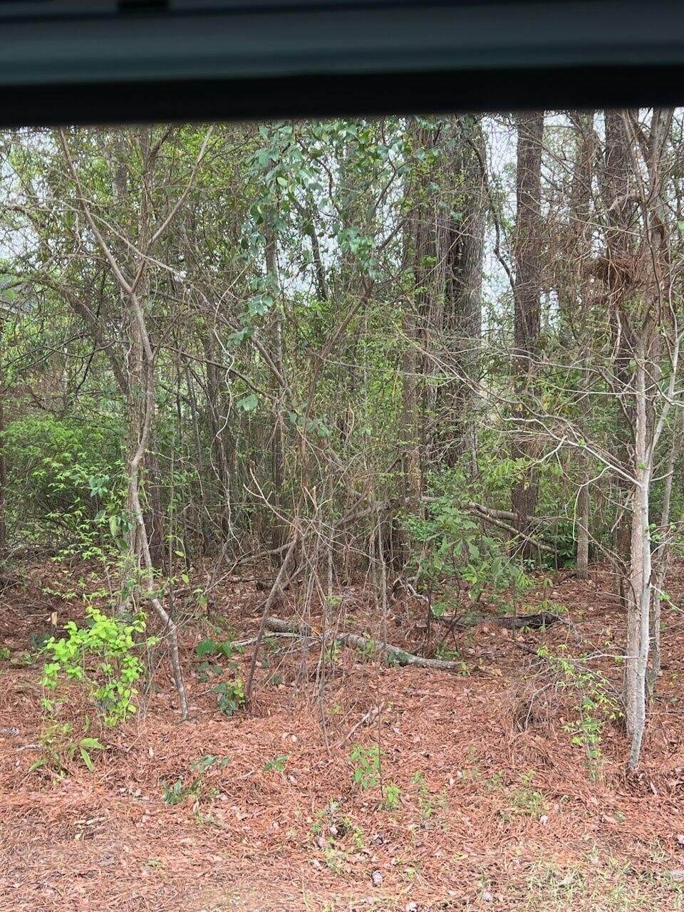 0 Williston Road, Beech Island, SC 29842 (MLS 513672) Shannon