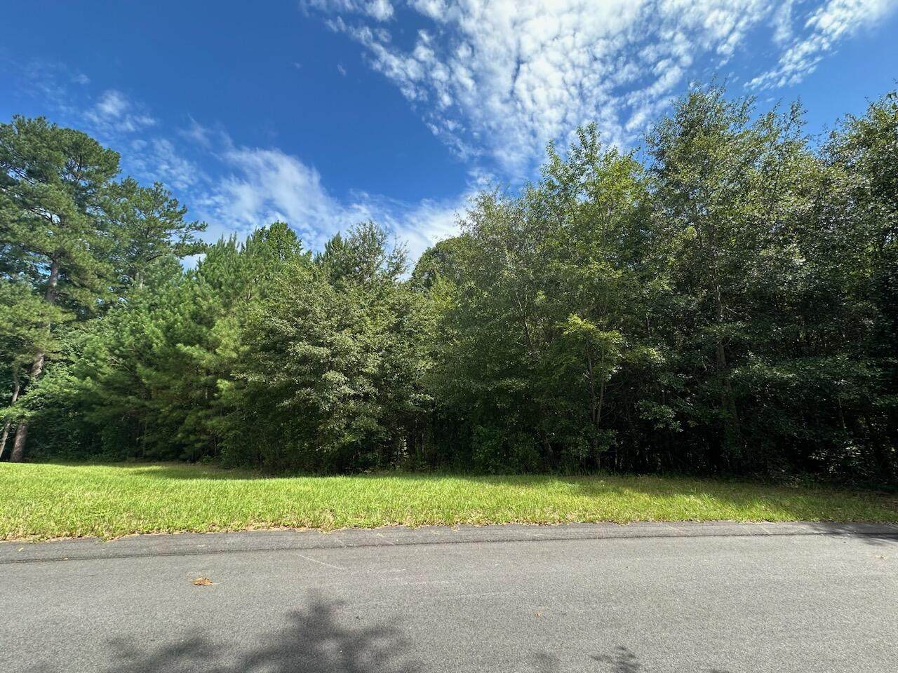 3183 Maplewood Drive - Photo 1