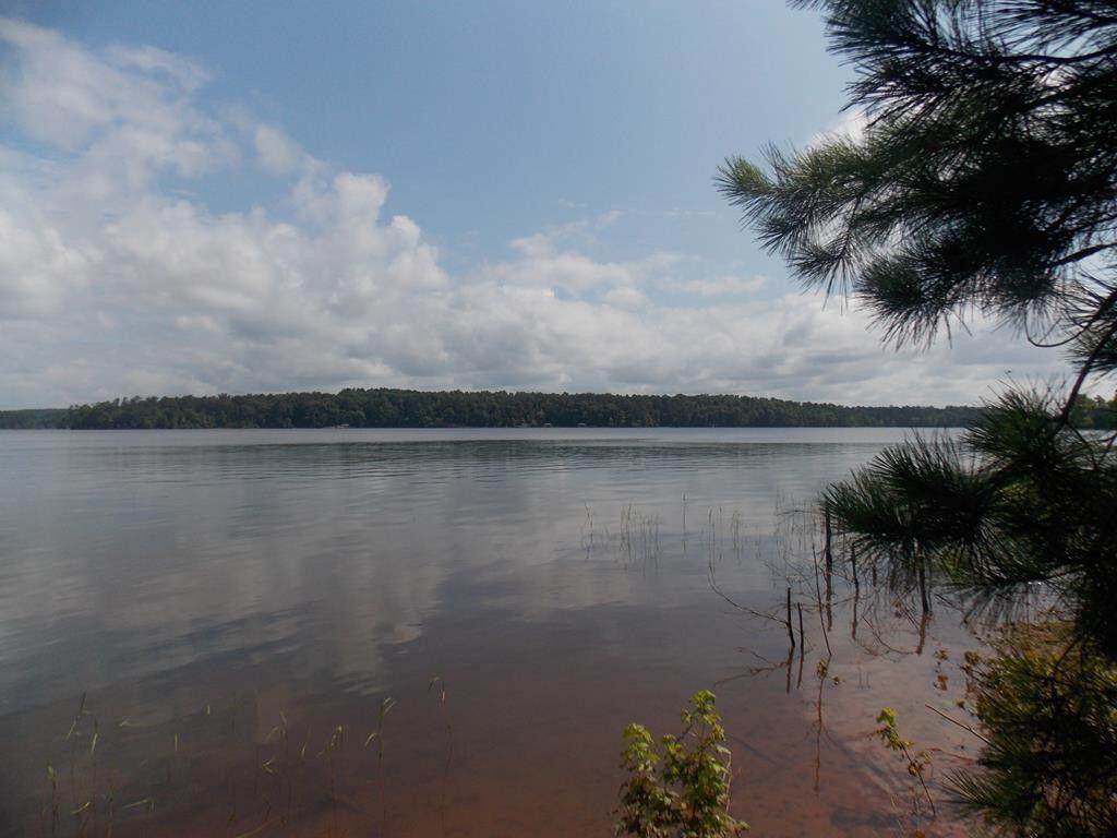 1103 Winding Ridge Drive - Photo 1