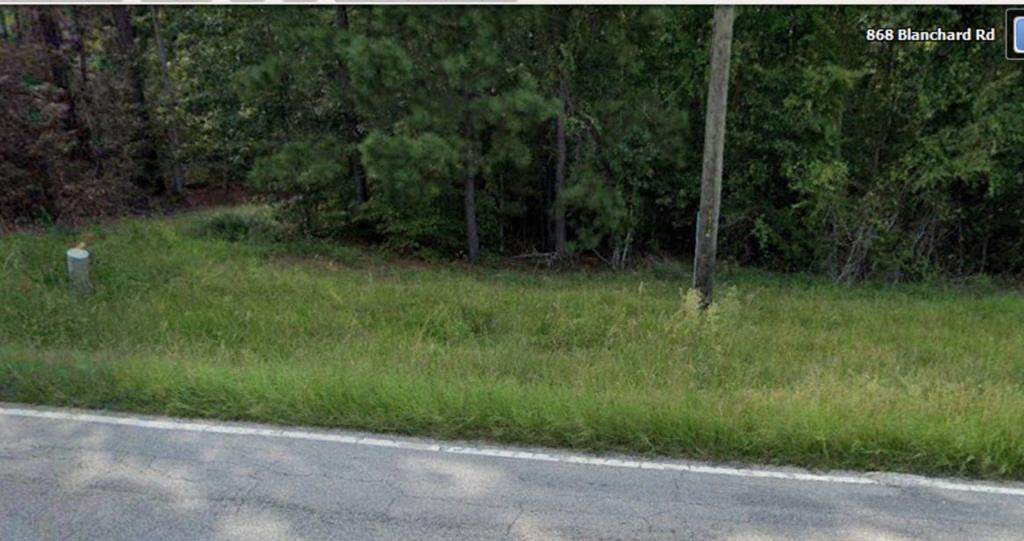 868 Blanchard Road - Photo 1