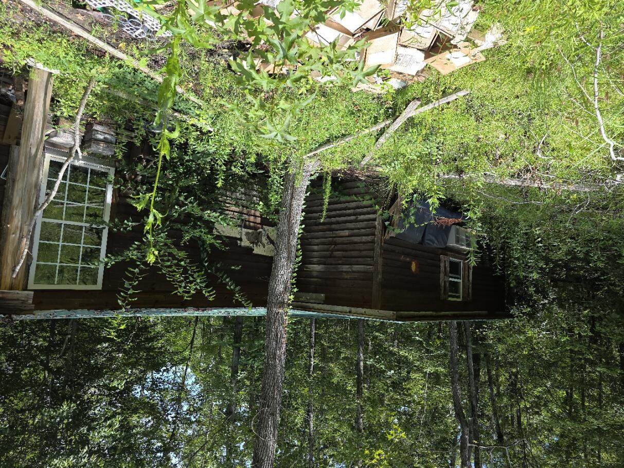 109 Tomahawk Trail - Photo 1