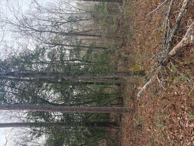 2005 Mcdade Farm Road - Photo 1