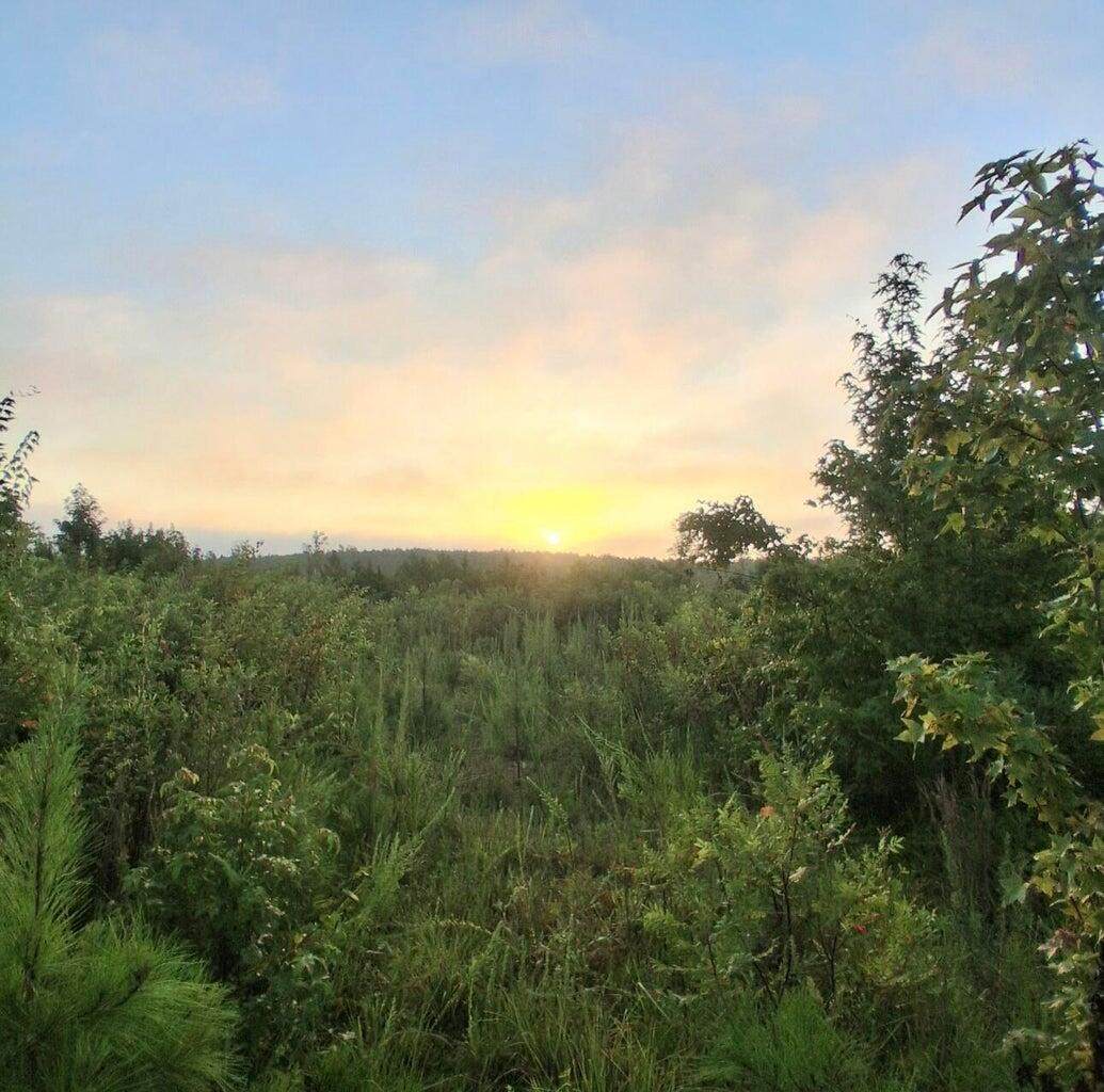 9a Bowie Road - Photo 1