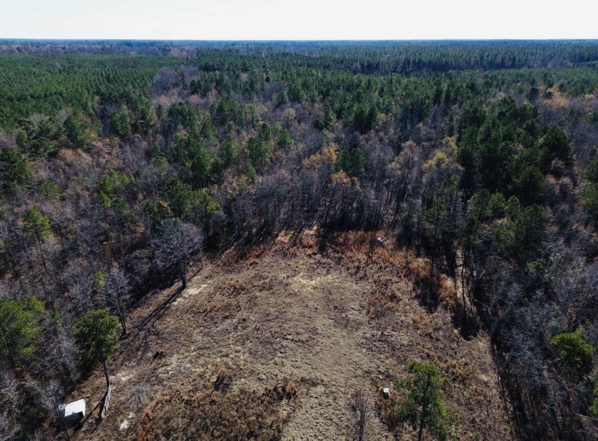 6975 Highway 80 - Photo 1