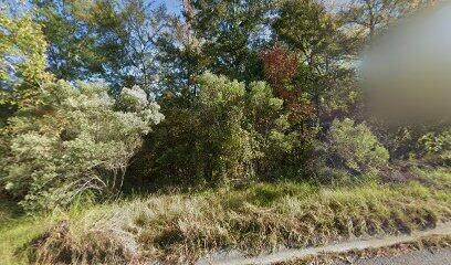 1009 Spotswood Circle - Photo 1