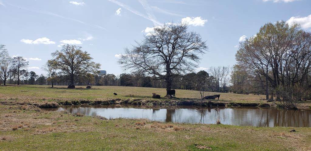 716 Augusta Road - Photo 1