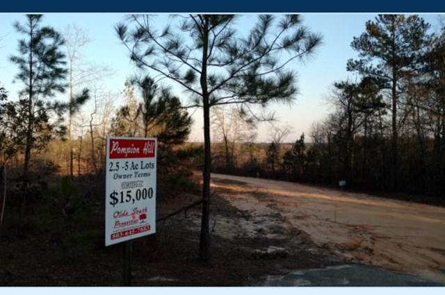 Lot 5 Old Draft Trail - Photo 1