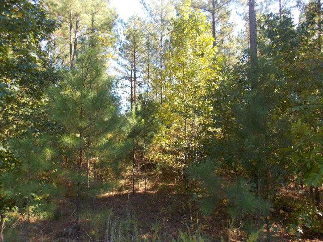 92 Whitlow Lane - Photo 1