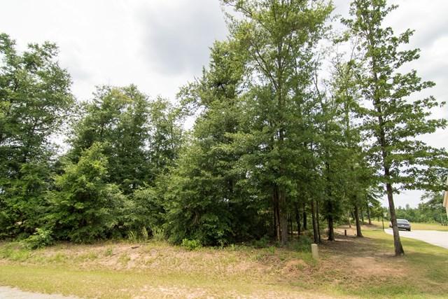 108 Meadow View Lane - Photo 1